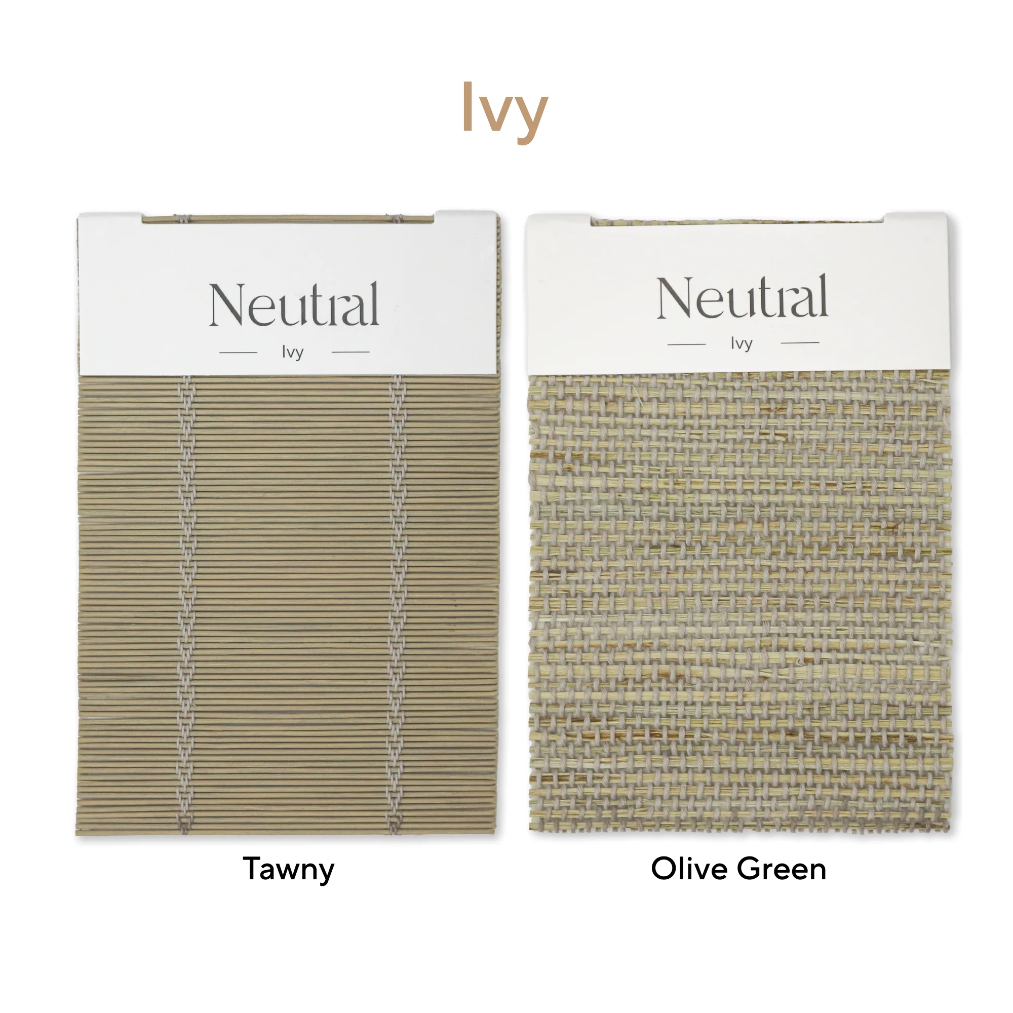 Ivy Bamboo Book - Image 7