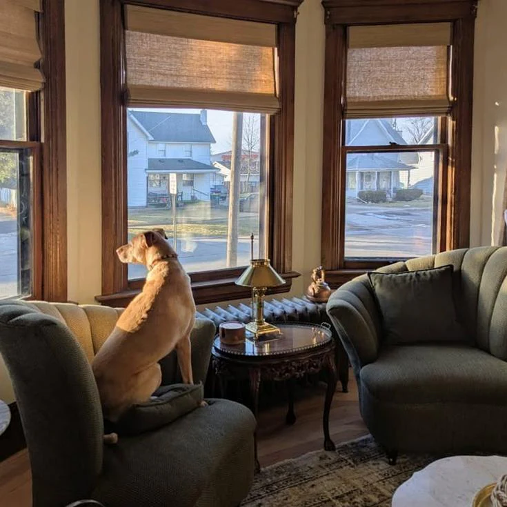 Ramie Woven Bamboo Blinds & Shades | Coconut - Image 9